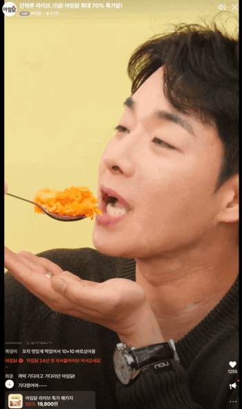 레퍼런스 이미지